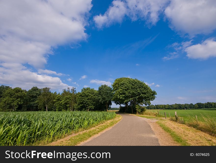 Bright colored ruralscene with country road and blue sky with cluods. Bright colored ruralscene with country road and blue sky with cluods