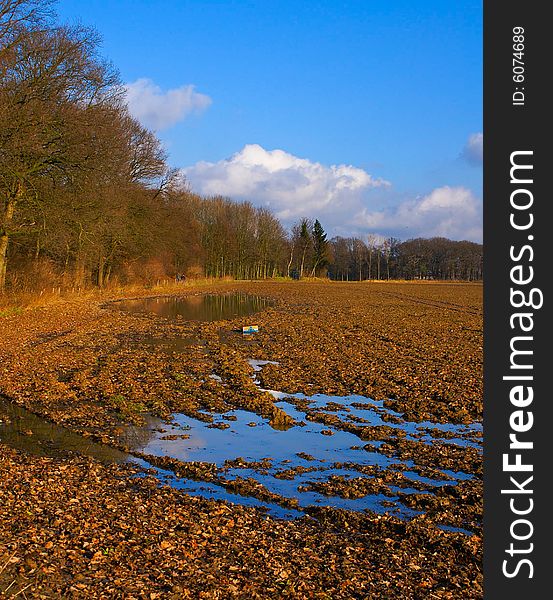 Bright rural autumn landscape with forest on the side on a sunny day with blue sky and puddle