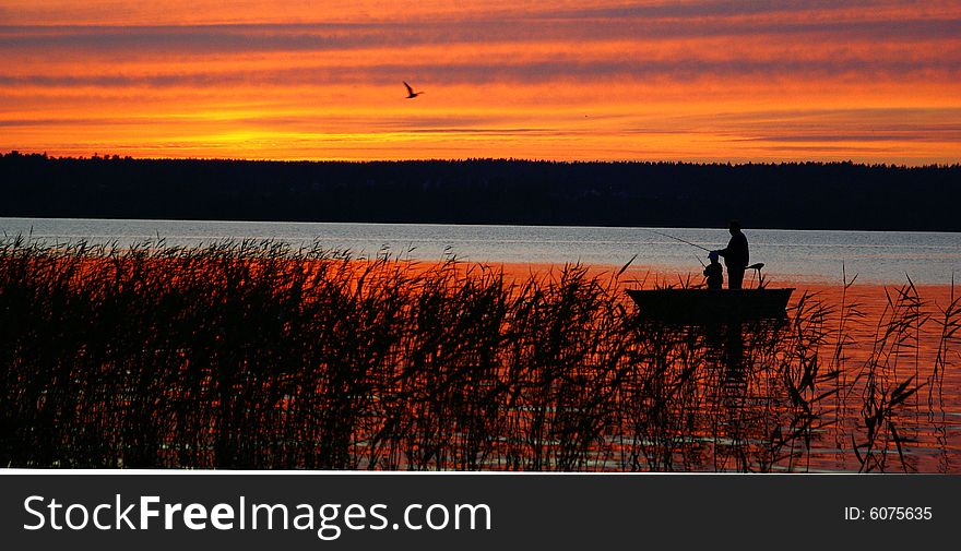 The photo is made on a decline, in Russia on lake Michurinskoe, flash was not applied