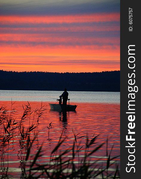 The photo is made on a decline, in Russia on lake Michurinskoe, flash was not applied