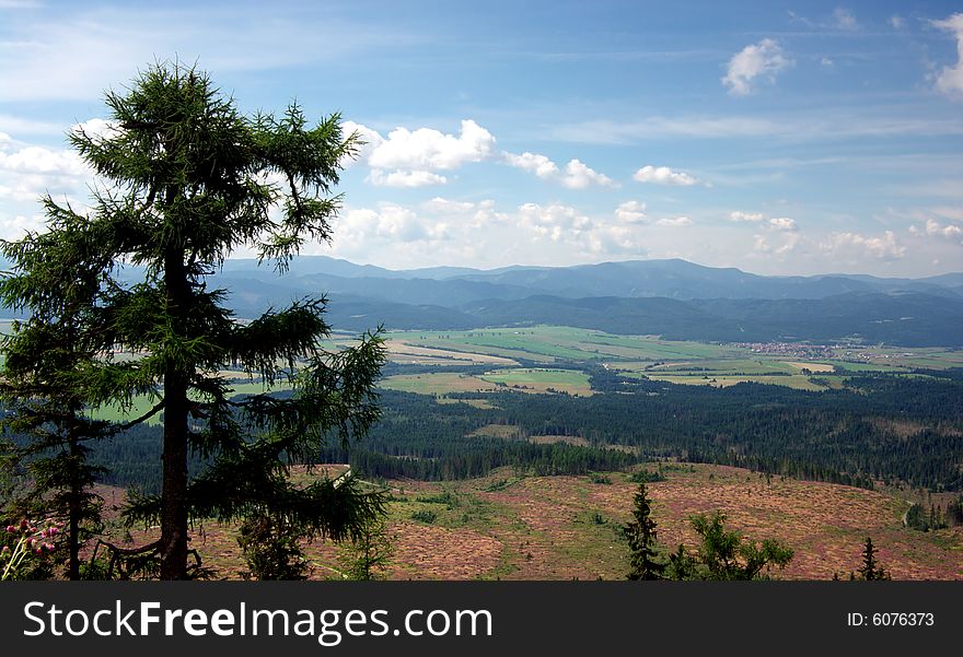 Slovak mountains High tatry, Blue Mountains, the tree itself