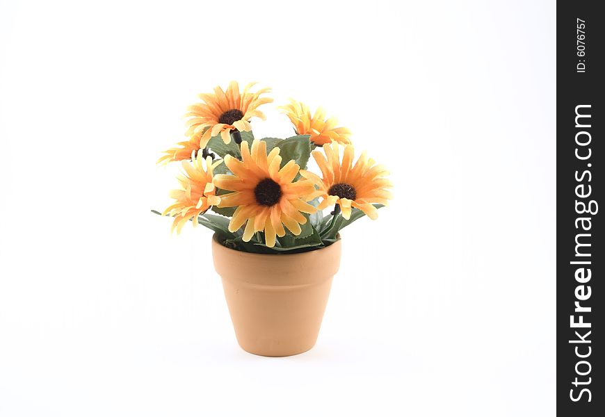 Vase with romantic orange flowers