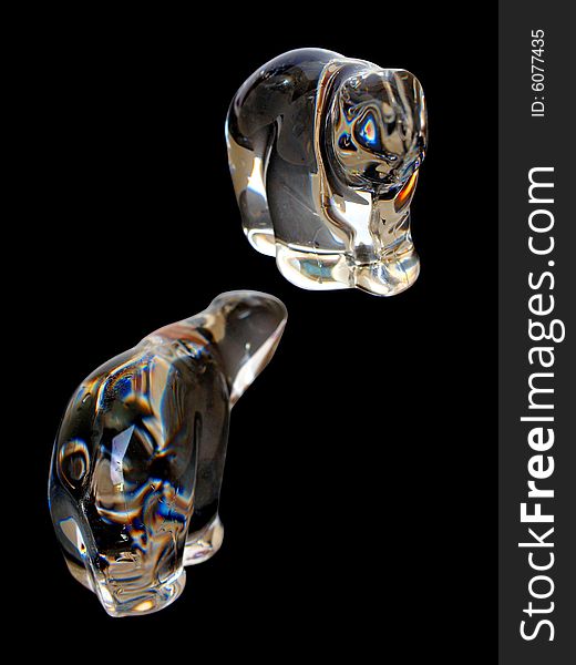 Two Translucent Crystal Polar Bears isolated in black background facing each other arrangement two. Two Translucent Crystal Polar Bears isolated in black background facing each other arrangement two