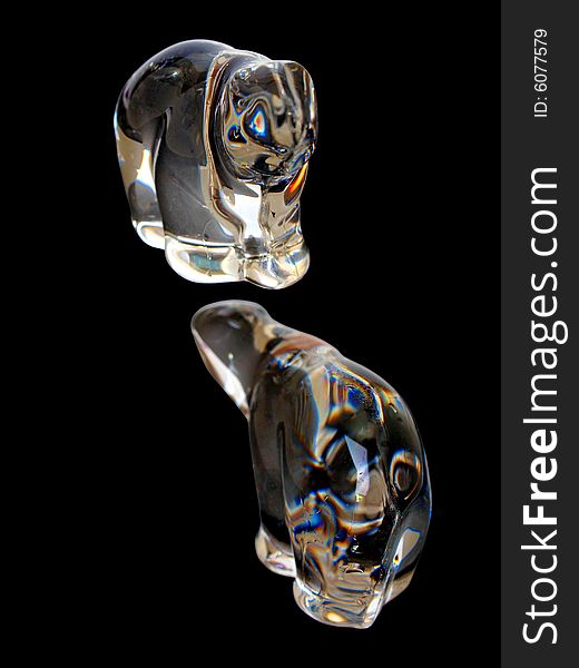 Two Translucent Crystal Polar Bears isolated in black background facing each other. Two Translucent Crystal Polar Bears isolated in black background facing each other.