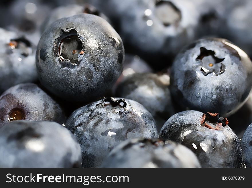 Fresh Blueberries - Extreme Close-Up