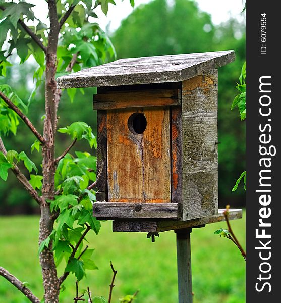 Closeup of wooden handmade birdhouse in a nature conservation area.