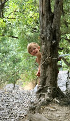 Girl Is Hidden Behind A Tree Stock Photo Girl Is Hidden Behind A Tree Stock Photo