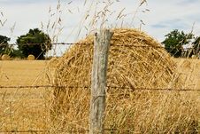 Hay Bale In Summer Stock Image Hay Bale In Summer Stock Image