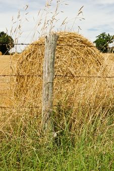 Hay Bale In A Summer Field Royalty Free Stock Photography Hay Bale In A Summer Field Royalty Free Stock Photography