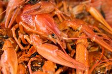 Boiled Red Crawfish Stock Photography Boiled Red Crawfish Stock Photography