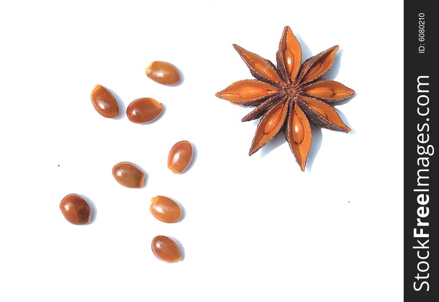 Aniseed and seeds with white background