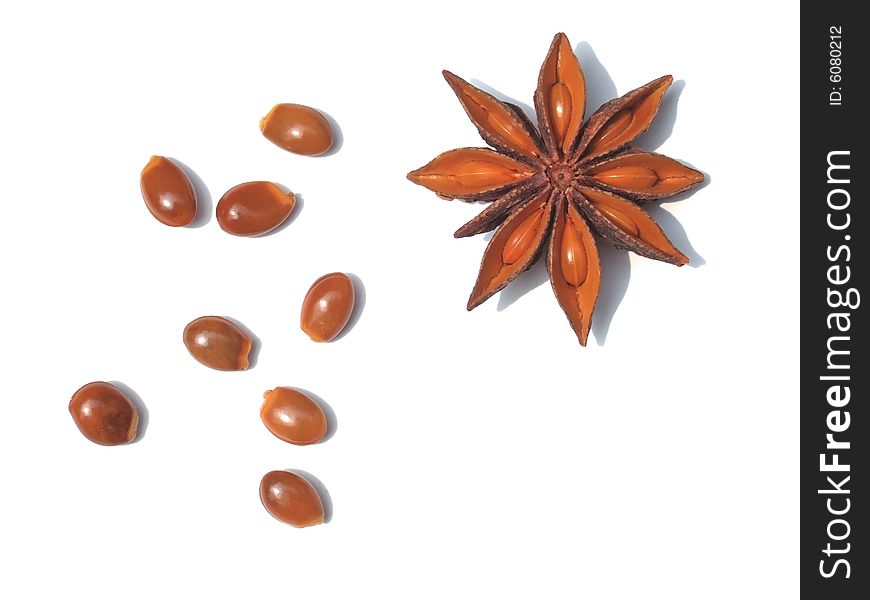 Aniseed and seeds with white background