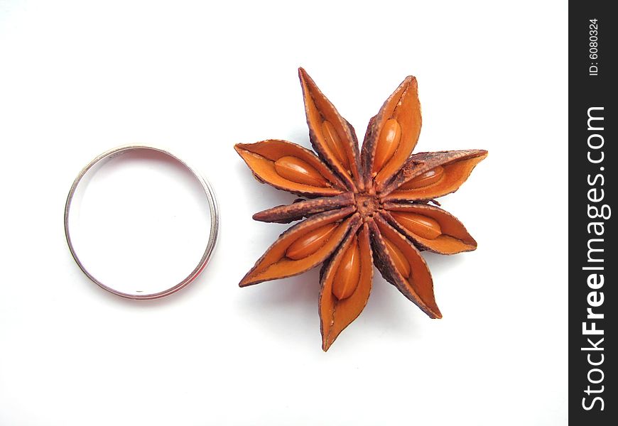 Aniseed and Ring with white background