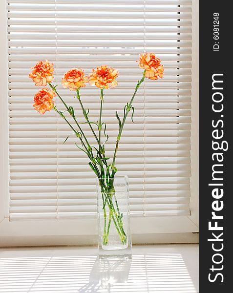 A bunch of orange carnation on window-still