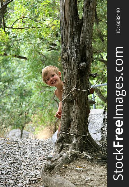 The little girl is hidden behind a tree
