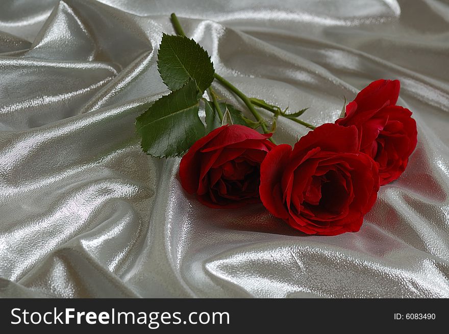 Festive silk background with red roses