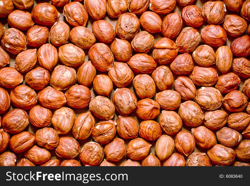 A background of an nuts. A background of an nuts