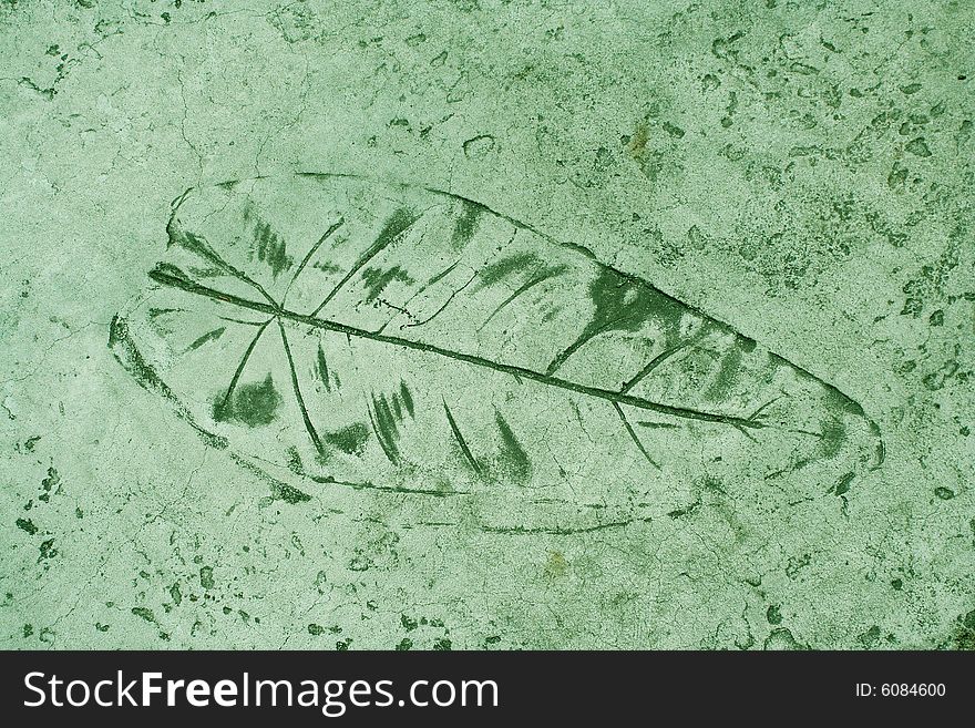 A Leaf impression in a cement green sidewalk