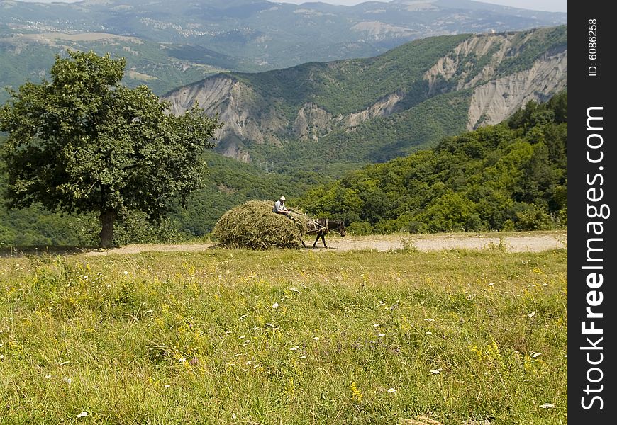 A lot of hay on the cart. In background mountain view.