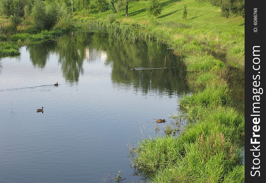 View of summer river with swimming ducks, Moscow. View of summer river with swimming ducks, Moscow
