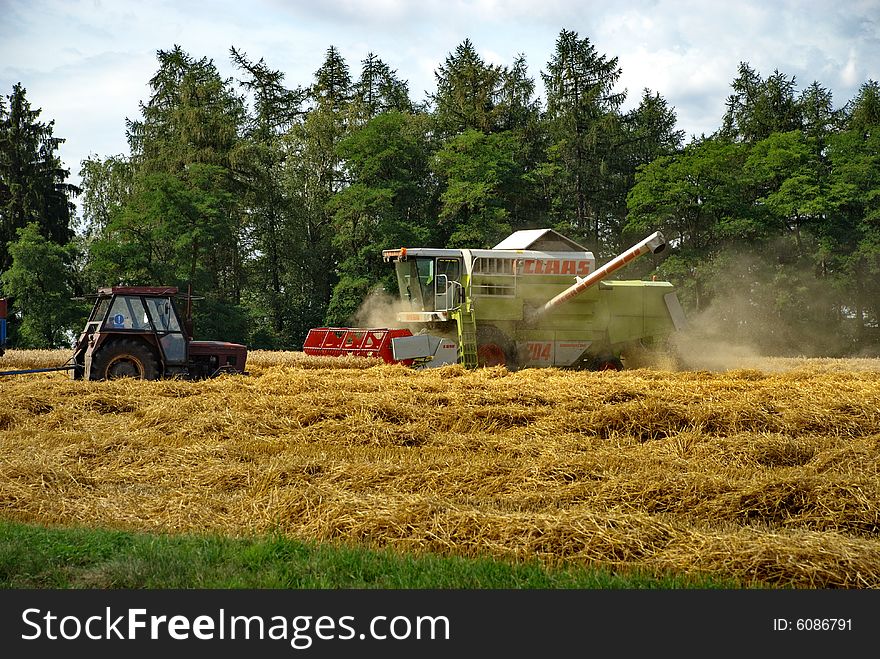 Harvest #5