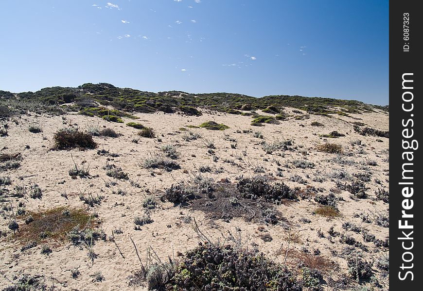 Shot of dunes near the shore, with vegetation.