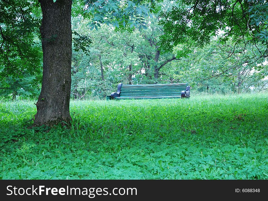 Bench in green park of rest