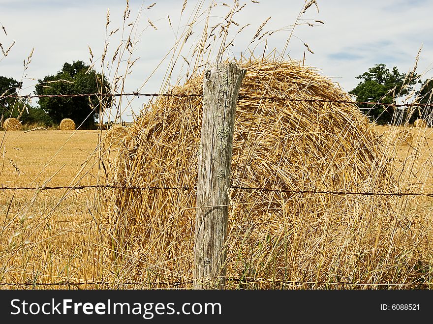 Hay Bale In Summer