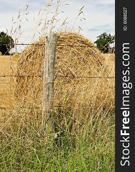 Hay Bale In A Summer Field