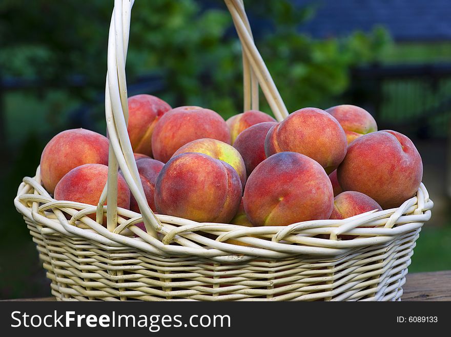 Closeup of fresh peaches in a wicker basket. Closeup of fresh peaches in a wicker basket