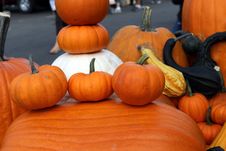 Orange And White Pumpkins Royalty Free Stock Image Orange And White Pumpkins Royalty Free Stock Image