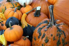Pumpkins And Gourds Stock Images Pumpkins And Gourds Stock Images