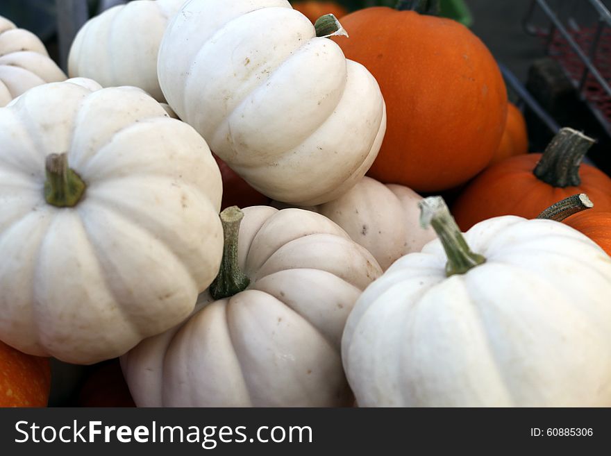 Orange And White Pumpkins