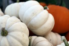 White Pumpkins Royalty Free Stock Photo White Pumpkins Royalty Free Stock Photo