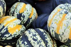 Carnival Squash Royalty Free Stock Photo Carnival Squash Royalty Free Stock Photo