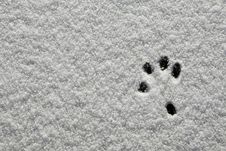 Snow Footprint Royalty Free Stock Image