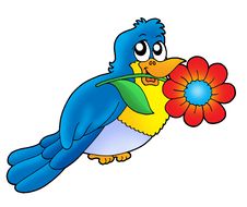Blue Bird With Flower Royalty Free Stock Photo Blue Bird With Flower Royalty Free Stock Photo