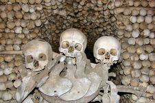 Skulls Royalty Free Stock Photos