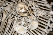 Skulls Royalty Free Stock Photography