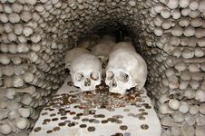 Skulls Stock Image