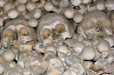 Skulls Stock Images Skulls Stock Images
