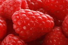 Ripe Raspberries Royalty Free Stock Images Ripe Raspberries Royalty Free Stock Images