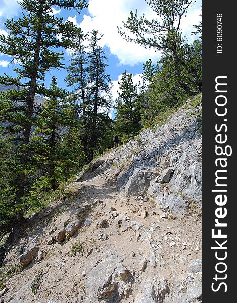 Hiking Trail In Rocky Mountains