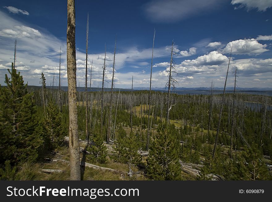 Nice Mountain Landscape in Yellowstone