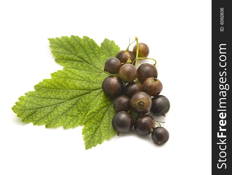 Ripe berries of a currant and green sheet on light background.