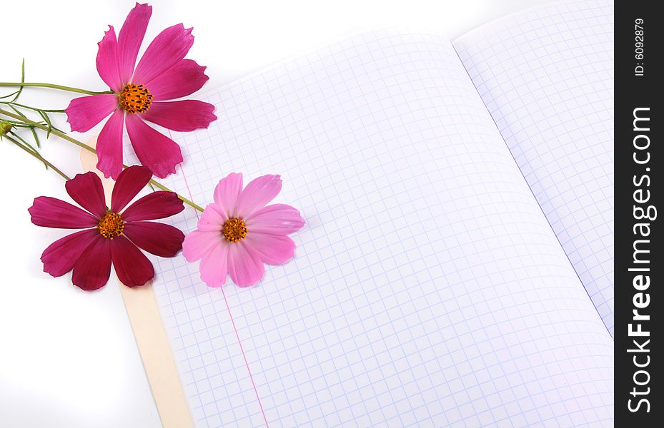 Red and pink fresh flowers lay on a writing-book. Red and pink fresh flowers lay on a writing-book.