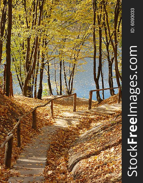 Path downward to the river in an autumn park