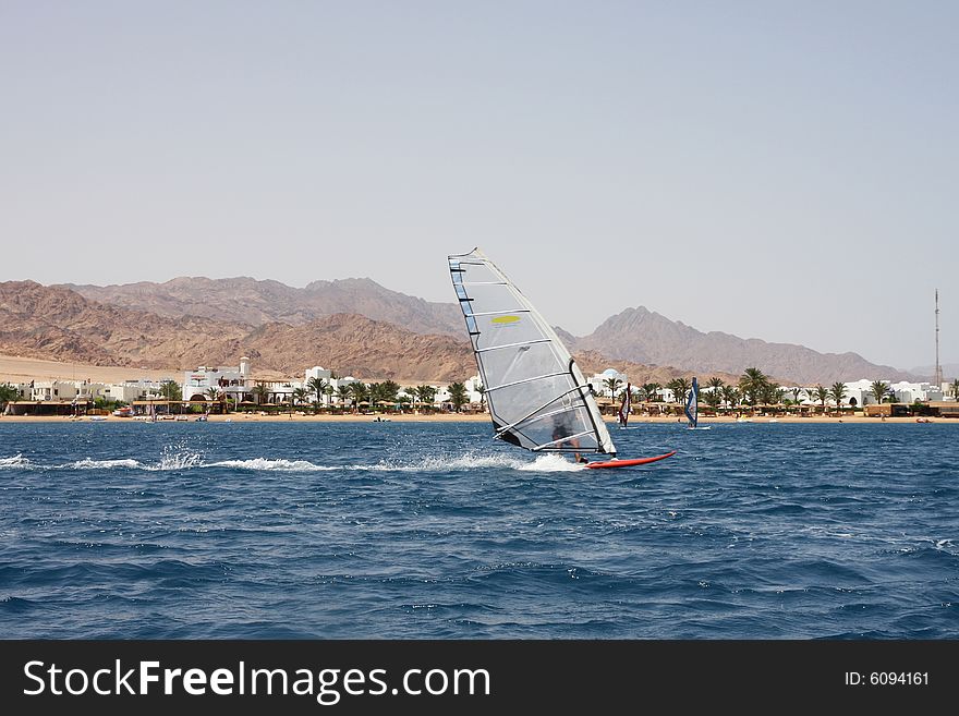 Windsurfing In Egypt