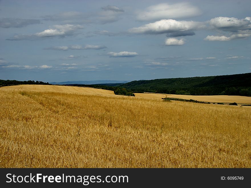 A crops field in the central part of the Czech Republic. Photo taken close to Beroun, Czech Republic. A crops field in the central part of the Czech Republic. Photo taken close to Beroun, Czech Republic.