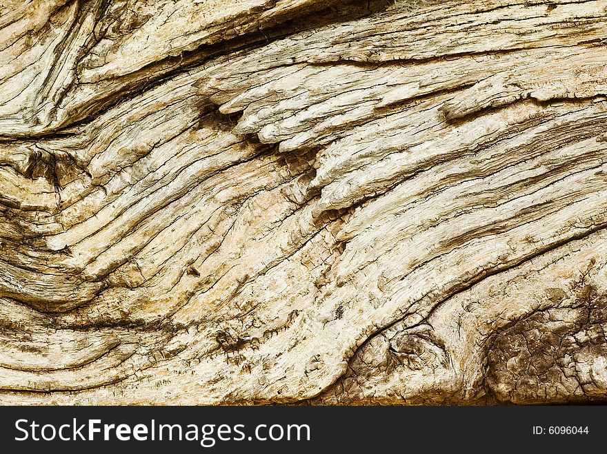 A background shot showing the contours of an ancient wooden beam. A background shot showing the contours of an ancient wooden beam